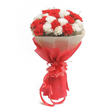 Red & White Carnation Bunch  cake delivery Delhi