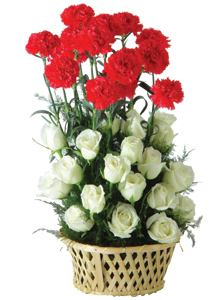 Arrangement of 20 white roses and 10 red Carnation cake delivery Delhi