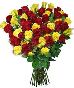 Hand Bunch of 50 Mix Roses cake delivery Delhi