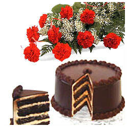 A bunch of 12 carnation with 1 kg Chocolate Cake cake delivery Delhi